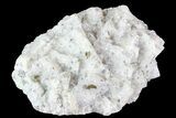 Quartz, Fluorite and Pyrite Crystal Association - Morocco #82793-1